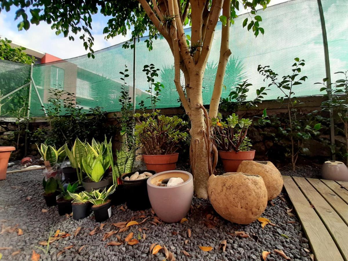 Casa Das Yucas - Patio Apartment Capelas Εξωτερικό φωτογραφία